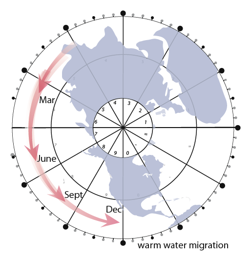 13 warm water migration