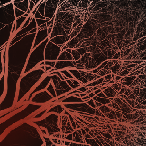 6-blood-vessels-